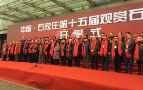 石家庄近期爆料新闻事件,揭秘背后真相与影响